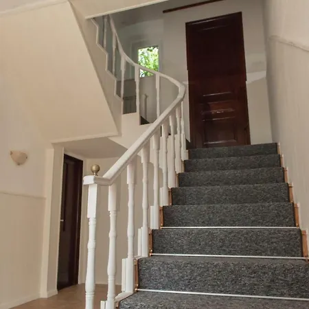 Domi * Нови-Винодолски