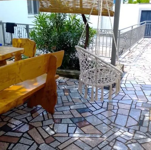 Domi * 노비비노돌스키