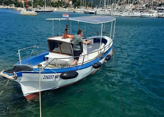 Domi * 노비비노돌스키