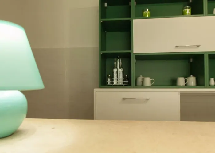 Domi 노비비노돌스키